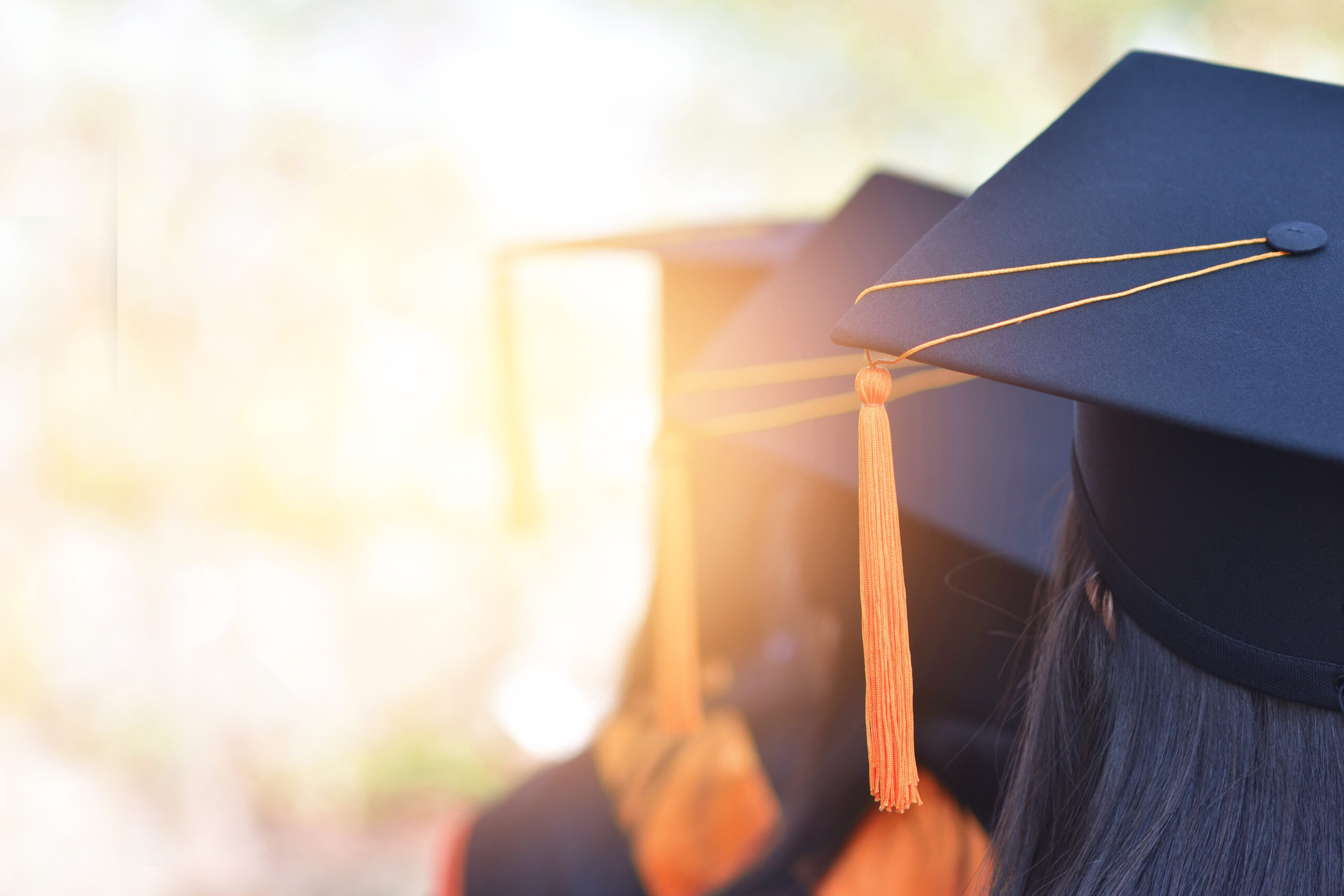 The Importance of Higher Education