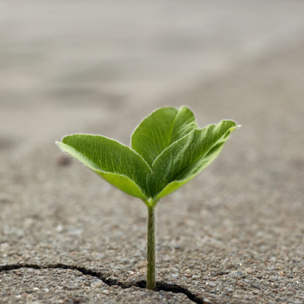Adapting to Change – 2023 Annual Report